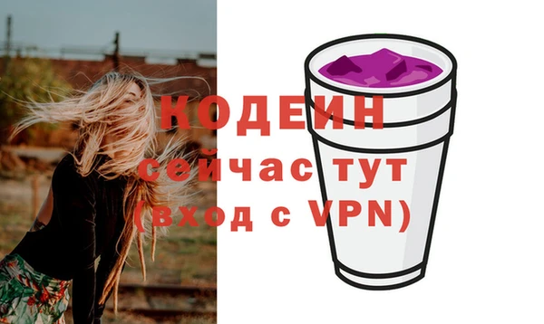 МДПВ Чекалин